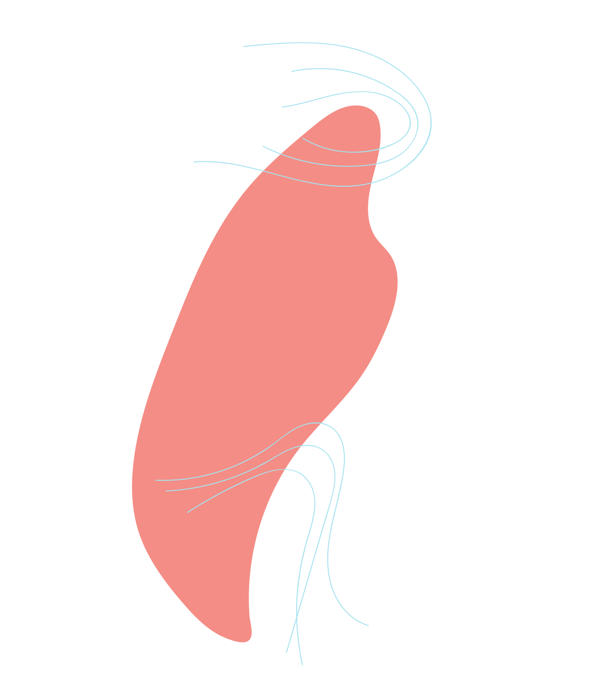 Decorative Wavy Shape