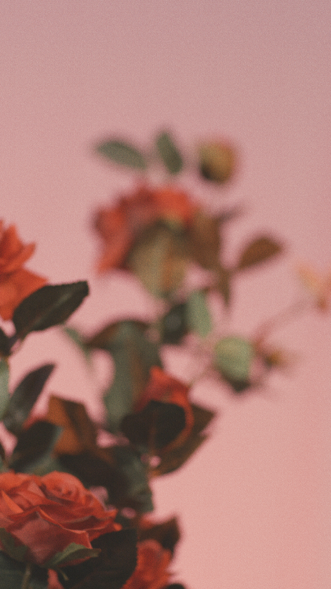 parallax image